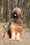 BRIARD 214